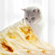 71 Inch Tortilla Burritos Blanket | $13 | Amazon | Use code 10HOCOO8